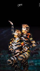 Iphone Wallpapers Cats The Musical Jellicle Cats Musical Wallpaper Musicals