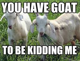 14 Goat Quotes For Every Occasion Goat Quote Goats Funny Goats