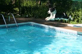 Jumping Off The Diving Board In Our Pool Pool Diving Board Pool Accessories