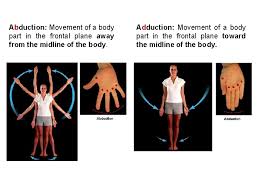 Child abduction, the abduction or kidnapping of a young child (or baby) by an older person. Lab 7 Body Movements And Muscle Histology Objectives