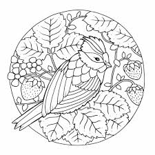 Https Images Squarespace Cdn Com Content V1 5bb66ddf755be22b74017bfb 1588819129317 Jimasrnouwlsmuf Butterfly Coloring Page Butterfly Drawing Outline Drawings