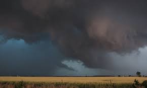 Families displaced after toronto tornado. Toronto Homeless At Risk After Weather Bomb Slams Canada Egypttoday