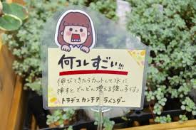 朗報 popグッズが期間限定のセールをやるみたいです すごはん たのしごと ポップ フォント ポップ 手書きpop