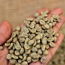 Aug 11, 2021 · the deliciously smooth taste of killer coffee starts with the highest quality arabica coffee beans. What S The Difference Between Arabica And Robusta Coffee Driftaway Coffee