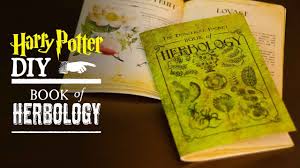 We did not find results for: Herbology Book Harry Potter Diy Youtube