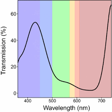 This category consists of questions where both the conclusions and are similar to the statement mentioned in the question. Pym A New Affordable Image Based Method Using A Raspberry Pi To Phenotype Plant Leaf Area In A Wide Diversity Of Environments Plant Methods Full Text