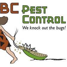 Termites are our specialty but there is nothing we can't get rid of. Bc Pest Control Pest Control Leander Tx Phone Number