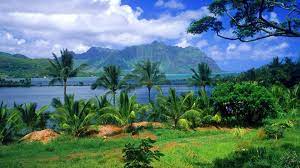 Stunning Nature Wallpaper Beautiful Nature Wallpaper Hd Beautiful Images Nature Nature Images