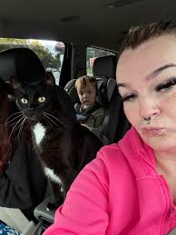 What kind of long legged spider is this?