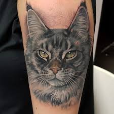 Black And Grey Tattoo Artists Realistic Cat Portrait Color Tattoo Made By Giena Revess A Traveling Tattoo Artist Sleeve Tattoo In 2020 Cat Tattoo Animal Tattoos Ink Tattoo Shoulder