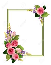 Frames picture frame word microsoft free hd image format: Pink Rose Flowers And Buds Corner Arrangements And A Frame Isolated Stock Photo Picture And Royalty Free Image Image 84199213