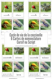 Epingle Sur Co Schooling Ecole A La Maison Homeschooling