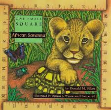 African Savanna One Small Square African Grasslands Savanna Science And Nature Books African