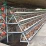 oem gallinero con corral from es.made-in-china.com