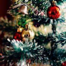 Bring the best out of your holiday season with premium holiday lighting and decoration from christmas home light decorations. Expert Holiday Decorating Services From Austin Staging By Karen Austin Staging By Karen