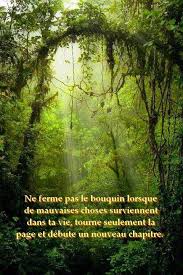 Le tfc battu à domicile par. Citations Et Panneaux Facebook A Partager Tourne La Page Et Continue Citation Nouvelle Vie Citation Francais Citation
