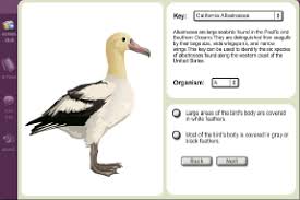 Maybe you would like to learn more about one of these? Gizmo Of The Week Dichotomous Keys Explorelearning News