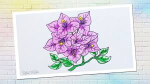 Contoh gambar cara mewarnai bunga melati kataucap. Gambar Sketsa Bunga Anggrek Berwarna