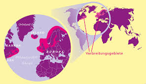 Das bedeutet erholung in einer landschaft mit dem richtigen angebot für jeden urlauber. Kegelrobbe Der Tier Steckbrief Im Tierlexikon Geolino