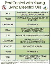 Essential Oils