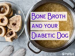 So, your dog has diabetes. Bone Broth And Your Diabetic Dog Pettest By Advocate