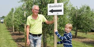 Stommeln Das War Das Olivenfest 110 Olivenbaume Fuhlen Sich In Stommeln Wohl Rheinische Anzeigenblaetter De