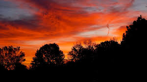 Sunset high resolution hd wallpapers. Download Wallpaper 2048x1152 Dusk Trees Dark Clouds Sunset Ultrawide Monitor Hd Background