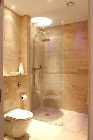 What Kind Of Shower Room Design Suits Your Room Below You Can Select Design Trend Shower Room Inspirat Ensuite Shower Room Small Bathroom Remodel Shower Room