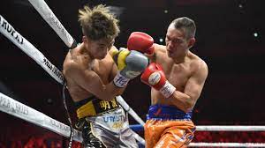 Nonito donaire is a mma fighter from san leandro, california, usa. Nonito Donaire Out Of Dec 19 Bout With Emmanuel Rodriguez After Testing Positive For Covid 19 Cbssports Com