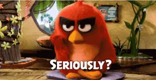 Bird Is The Word Gif Https Encrypted Tbn0 Gstatic Com Images Q Tbn 3aand9gcsk0xdtnshcem0c Hhwbtslnbgxwqoarycdcg Usqp Cau