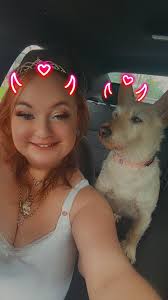 Firestone,Springfield & RubberCity Rescue Lost & Found Pets