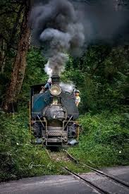 Train. Vintage Postcard. Restored image ...