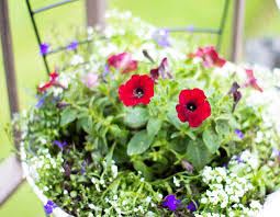 What kind of decor is red and blue? Small Porch 4th Of July Decor Ideas When You Don T Like Red White Blue