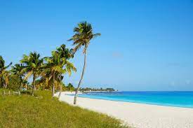 Where to go for a swim in key west? 11 Best Beaches In Key West The Crazy Tourist