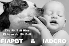 FEDERACION INTERNACIONAL DEL AMERICAN PIT BULL TERRIER