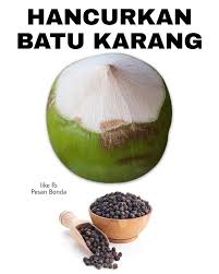 Rawatan tradisional masalah buah pinggang dan batu karang. Minum Air Kelapa Muda Bersama Lada Hitam Dapat Menghan Curkan Batu Karang Soya Lemon Viral