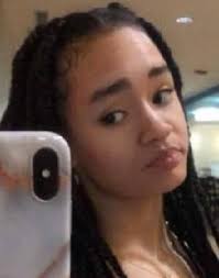 Niles, Michigan Gun Violence Memorial