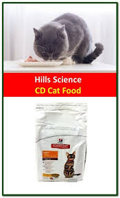 Pin On Cat Food