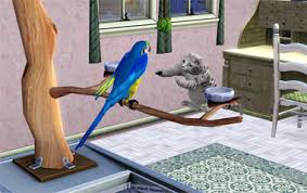 Pets, the two animals must get along with each other. The Sims 3 Pets Lessons Pinguintech