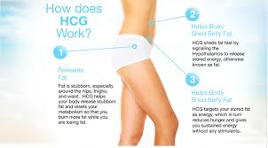 Remember, the leaner you are, the less of a dose you will require. Hcg How It Works Globalderm Homeopatch