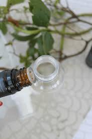 Use the saline mixture to fill a spray bottle. Diy Essential Oil Spider Repellent Spray The Homespun Hydrangea