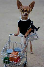 Pin En Pinterest