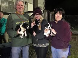 Check spelling or type a new query. Jimmy Guidry Hub City Diner Proprietor Committed To Outstanding Customer Service And Ending Animal Abuse Discover Lafayette