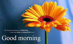 Good morning beautiful quotes good morning inspirational quotes motivational quotes in hindi all quotes hindi quotes life quotes good morning hindi messages morning greetings quotes morning pictures. Suvichar Good Morning Images For Friend Good Morning Images Good Morning Wallpaper Good Morning Pics Hd