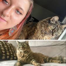 Nicole Colombo (@kittycatwindow) • Facebook