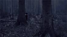 Please post gifs you've made yourself. Shadows Gifs Tenor
