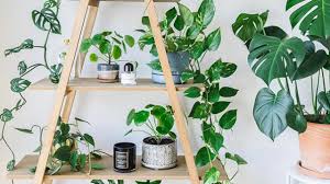 Nunca he sido muy fan de las flores y plantas, en parte por mi alergia al polen, y. 7 Formas De Decorar Con Plantas De Interior