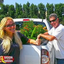 Stop in to any of our locations and see the difference only at the moon! Hollywood