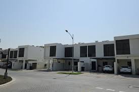 Image result for Janusia