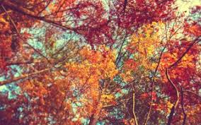 High resolution fall macbook wallpaper. Live Wallpaper Hd Best Hd Wallpapers 2021